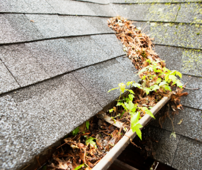home maintenance tasks