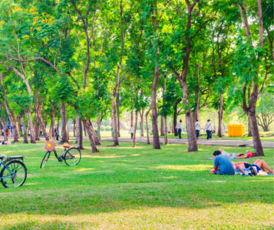 Hidden Gems in Silicon Valley’s Most Loved Communities
