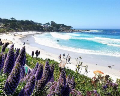 Silicon Valley weekend getaways